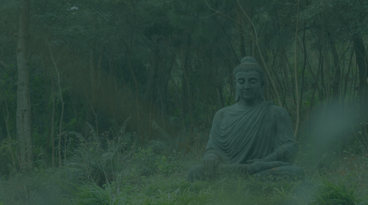 La Cabane d'AYO, Tabanac