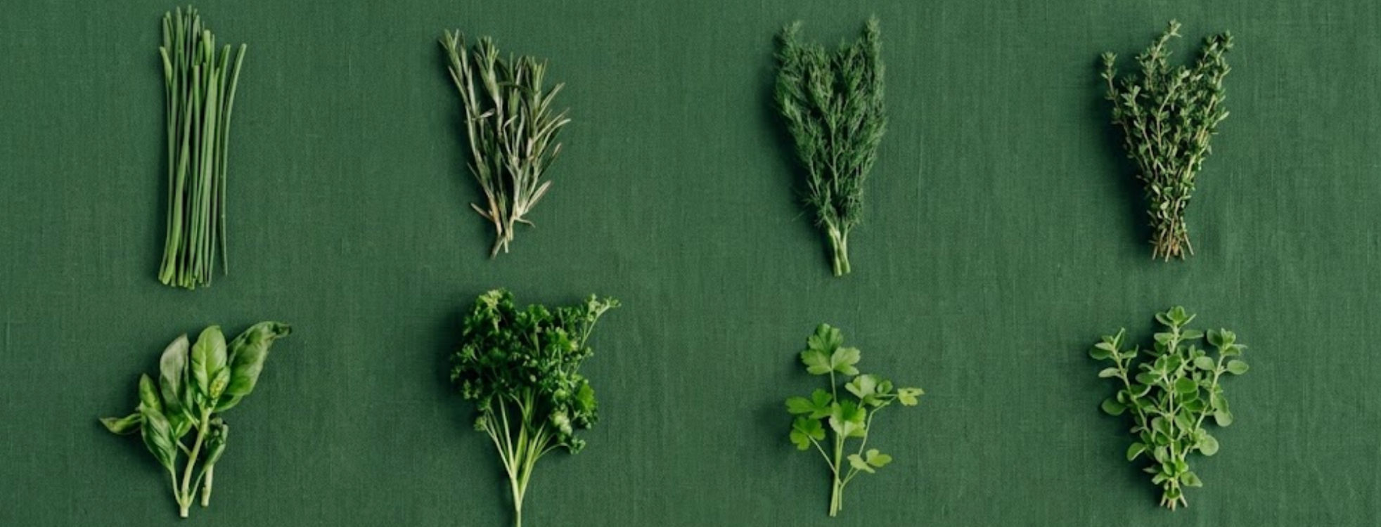 AYO ayurveda Tabanac